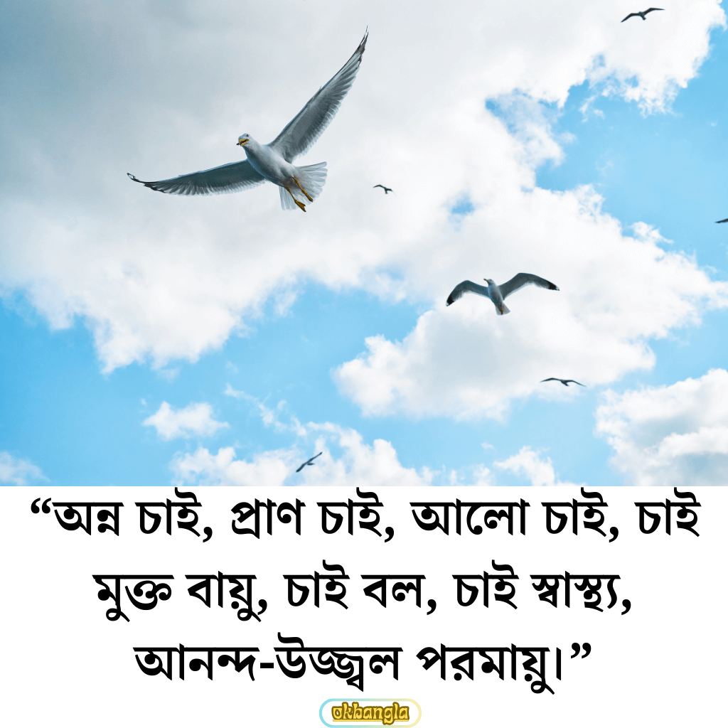 "অন্ন চাই, প্রাণ চাই, আলো চাই, চাই মুক্ত বায়ু, চাই বল, চাই স্বাস্থ্য, আনন্দ-উজ্জ্বল পরমায়ু।"