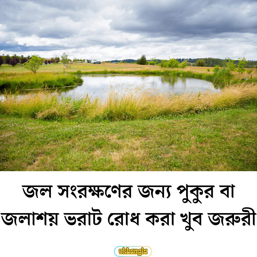 জলাশয় রক্ষা করা