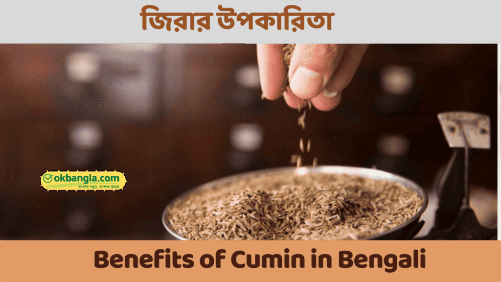 জিরা খাওয়ার উপকারিতা ও অপকারিতা, Best details on Cumin in Bangla