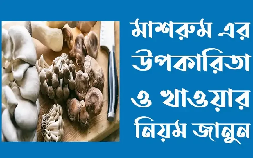 মাশরুম খাওয়ার নিয়ম