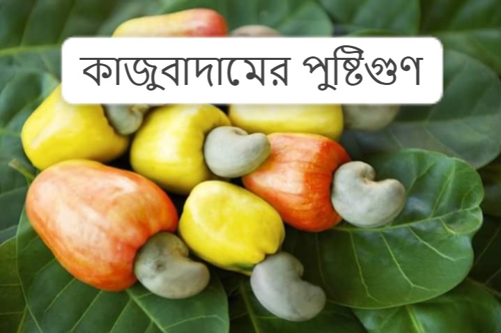 কাজু বাদাম এর পুষ্টিগুণ