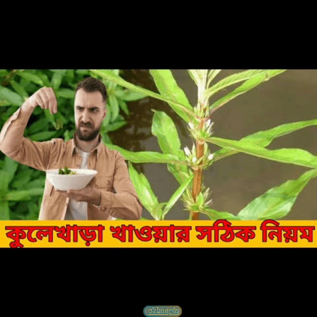 কুলেখাড়া পাতা খাওয়ার নিয়ম