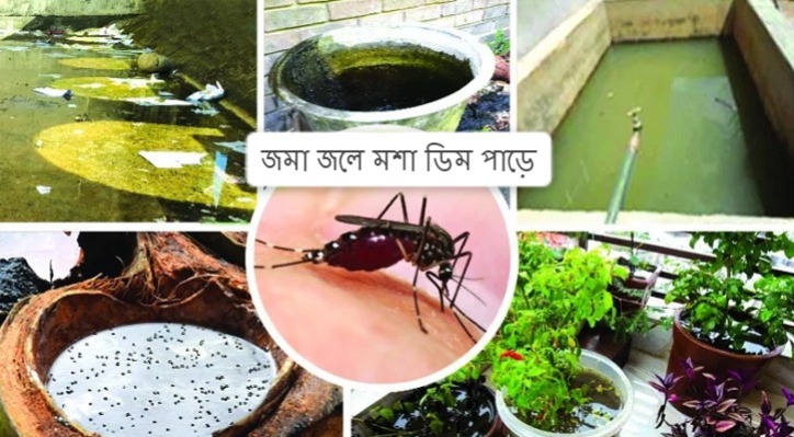 জমা জলে মশা ডিম পাড়ে