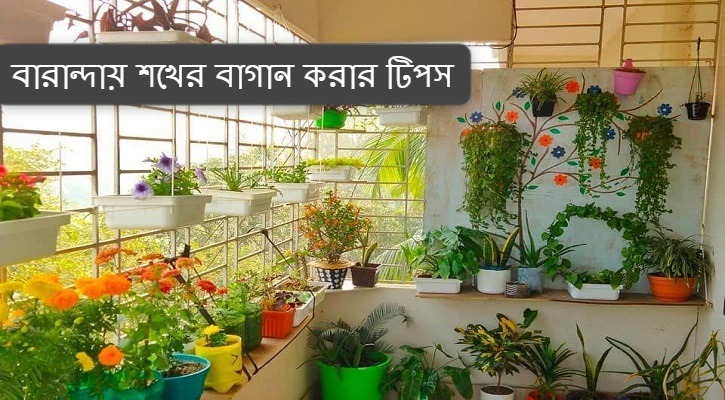 বারান্দায় শখের বাগান করার টিপস