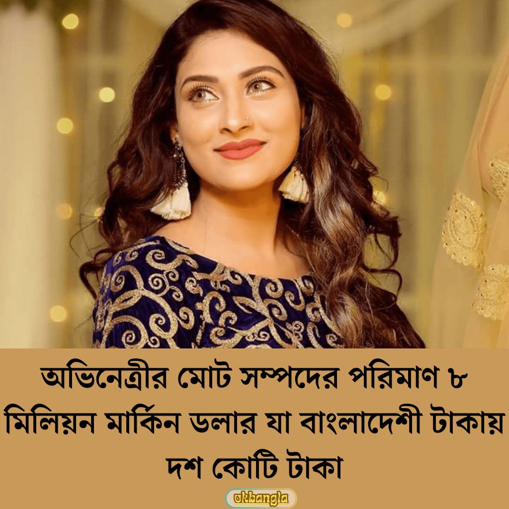 মেহজাবিন চৌধুরীর মোট সম্পত্তি