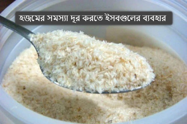 হজমের সমস্যা দূর করতে ইসবগুলের ব্যবহার 