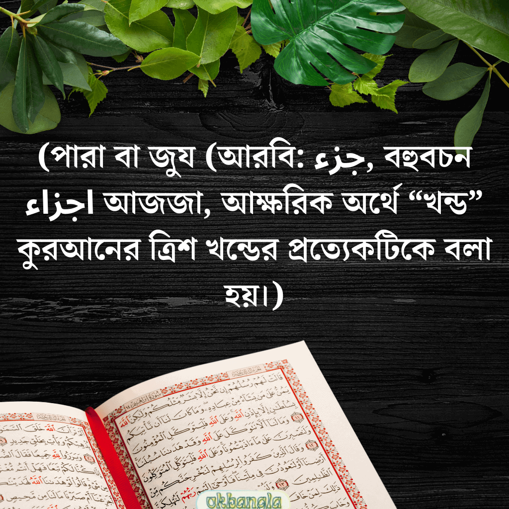 কুরআনের কত পারা? 