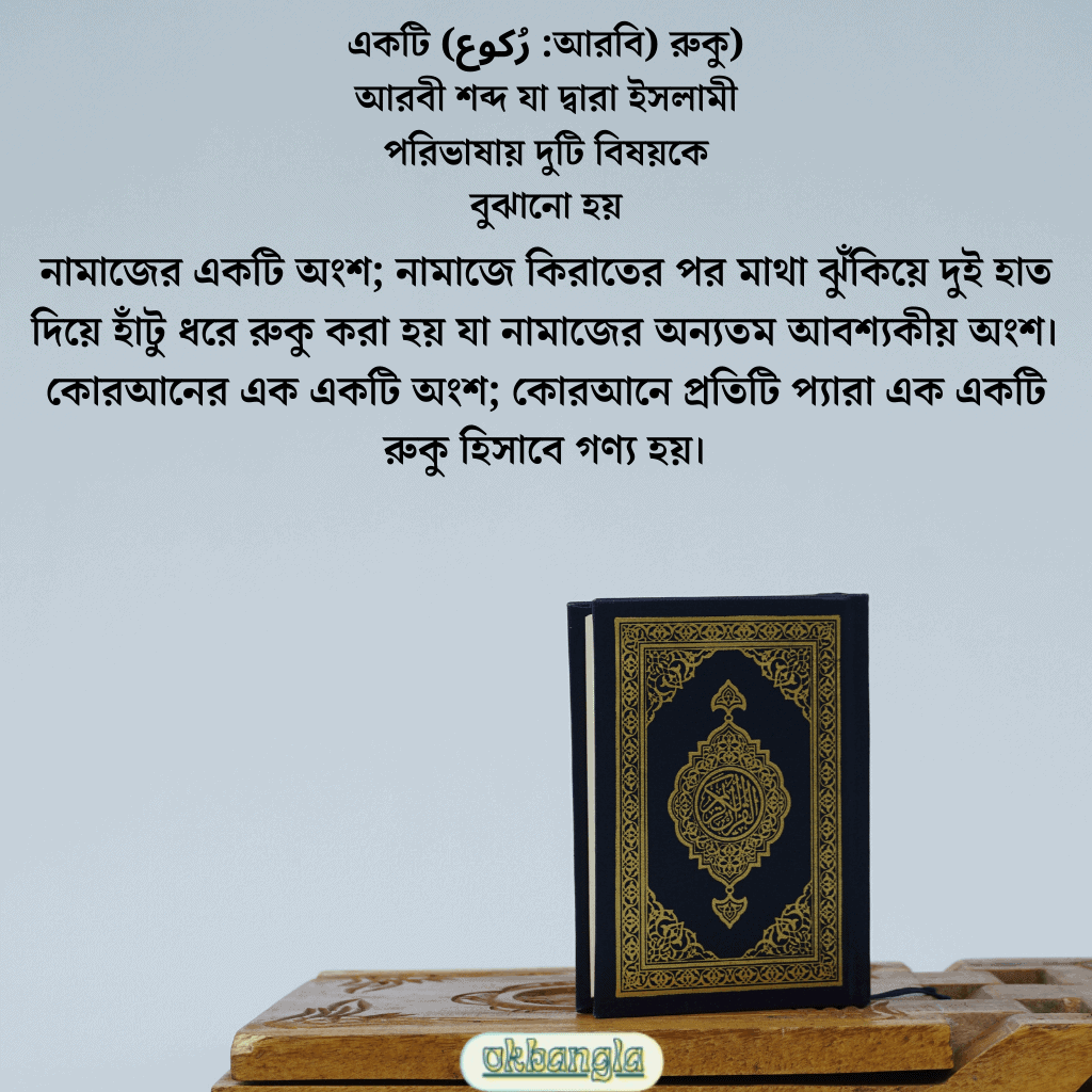 কোরআনের রুকু বলতে কি বুঝায়?
