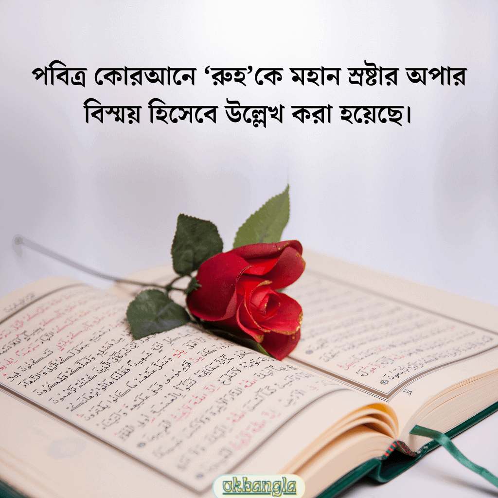 জীবন সম্পর্কে কোরআনে কি বলা হয়েছে?