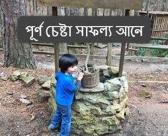 পূর্ণ চেষ্টা সাফল্য আনে