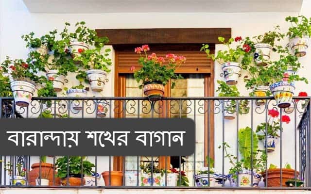 বারান্দায় শখের বাগান