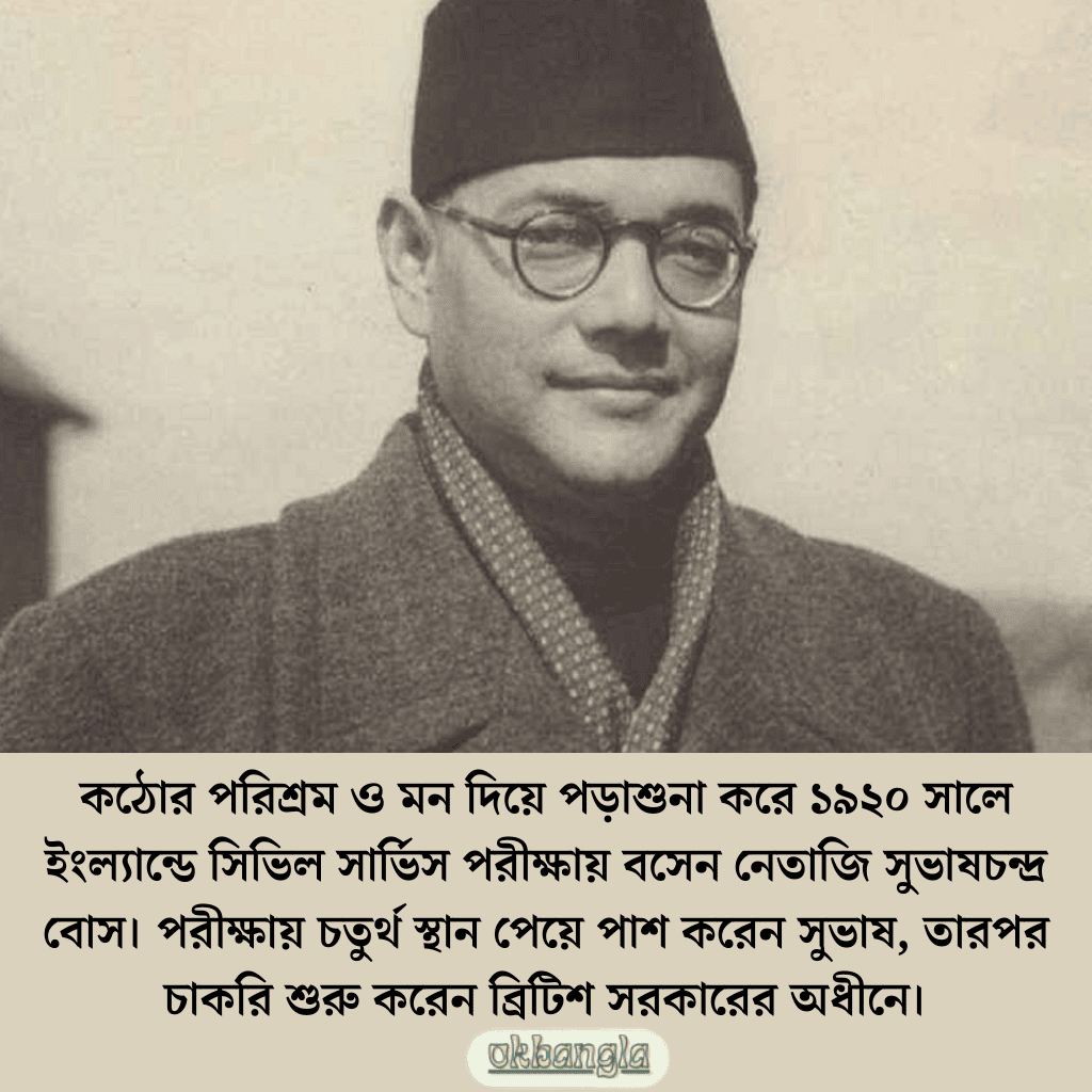 ব্রিটিশ সরকারের অধীনে চাকরি