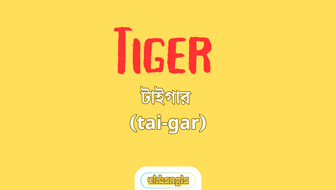 Tiger শব্দটির আসল অর্থ সাধারণ উদাহরণ এবং সংজ্ঞা সহ