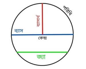 বৃত্তের গুরুত্ব