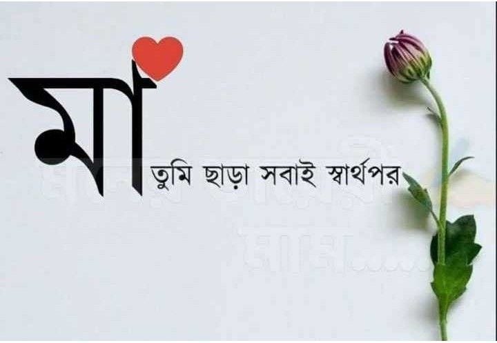 প্রোফাইল ছবির ক্যাপশন