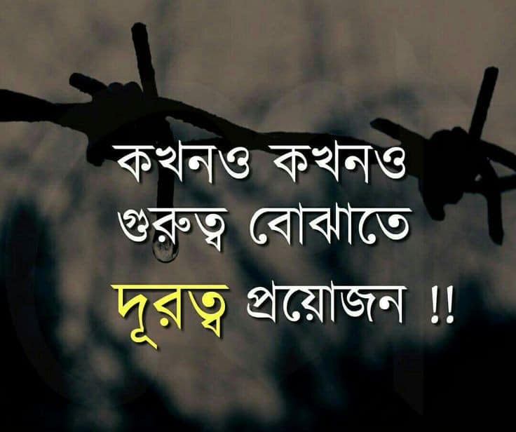 রোমান্টিক ছবির ক্যাপশন