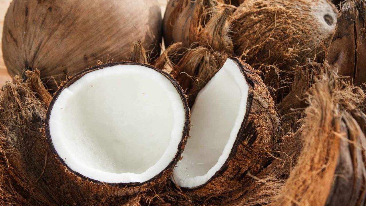 শুকনো নারকেল নিয়ে ট্রেনে ভ্রমণ