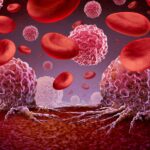 Blood Cancer মুছে দেবে ট্যাবলেট! ভারতে আসছে যুগান্তকারী ওষুধ, জানুন দাম রক্তের ক্যান্সার - এই নামটি শুনলেই একটা চাপা আতঙ্ক গ্রাস করে। একটা সময় ছিল যখন রক্তের ক্যান্সার মানেই এক নিশ্চিত পরিণতি মনে করা হতো। বিশেষ করে ক্রনিক মায়েলয়েড লিউকেমিয়া-এর মতো আগ্রাসী ক্যান্সার, যা অস্থিমজ্জা থেকে দ্রুত রক্তে ছড়িয়ে পড়ে এবং প্রায়শই চতুর্থ পর্যায়ে ধরা পড়ে, তা ছিল ভীতিকর। কিন্তু বিজ্ঞানের অগ্রগতি এখন সেই চিত্র বদলে দিচ্ছে। এবার সুখবর হলো, ট্যাবলেট খেলেই রক্ত ক্যান্সার নির্মূল করার একটি যুগান্তকারী ওষুধ ভারতে আসছে! এই যুগান্তকারী ওষুধটি তৈরি করেছে গ্লেনমার্ক ফার্মাসিউটিক্যালস, যাদের গবেষণাগার ভারতেও রয়েছে। সংস্থার দাবি, ভারতীয় রোগীদের শারীরিক গঠন ও প্রয়োজন বুঝে এই ওষুধটি একটি নতুন ফর্মুলায় তৈরি করা হয়েছে। নির্দিষ্ট ডোজে এই ট্যাবলেট সেবন করলে ক্যান্সার কোষের বৃদ্ধি ও বিভাজন থেমে যাবে বলে তারা আশা করছেন। জ়ানুব্রুটিনিব: এক নতুন আশার আলো অনেক বছর ধরে রক্তের ক্যান্সারের চিকিৎসায় রেডিওথেরাপি, কেমোথেরাপি, ইমিউনোথেরাপি এবং মোনোক্লোনাল অ্যান্টিবডির মতো পদ্ধতিগুলো ব্যবহৃত হয়ে আসছে। কিন্তু লিউকেমিয়ার চিকিৎসায় খাওয়ার ওষুধের তেমন প্রচলন ছিল না। গ্লেনমার্ক ফার্মাসিউটিক্যালস এই অভাব পূরণ করে 'জ়ানুব্রুটিনিব' নামের একটি ট্যাবলেট বাজারে আনছে, যা 'ব্রুকিনসা' ব্র্যান্ড নামে বিক্রি হবে। এই ওষুধটির ক্লিনিক্যাল ট্রায়াল দীর্ঘ সময় ধরে চলছিল এবং এর ফলাফল আশাব্যঞ্জক বলে দাবি করা হয়েছে। ক্যান্সার আক্রান্ত রোগীদের ওপর এর প্রয়োগে ইতিবাচক ফল পাওয়া গেছে। ট্রায়ালের রিপোর্ট পর্যালোচনা করে কেন্দ্রীয় ড্রাগ নিয়ামক সংস্থা ওষুধটির উৎপাদন ও বিক্রির অনুমোদন দিয়েছে। কিভাবে কাজ করবে এই ওষুধ? ক্রনিক মায়েলয়েড লিউকেমিয়া হলো এক ধরনের শ্বেত রক্তকণিকার ক্যান্সার। অস্থিমজ্জার স্টেম কোষ থেকে রক্তকণিকা তৈরি হয়। যখন এই কোষগুলোর অস্বাভাবিক ও অনিয়ন্ত্রিত বৃদ্ধি ঘটে, তখন তা ক্যান্সারের রূপ নেয়। মায়েলয়েড কোষের অনিয়ন্ত্রিত বৃদ্ধি ক্যান্সার কোষে রূপান্তরিত হয়। এই মায়েলয়েড কোষ থেকেই লোহিত কণিকা, শ্বেত রক্তকণিকা এবং অণুচক্রিকা তৈরি হয়। ফলে, মায়েলয়েড কোষ যদি লাগামছাড়াভাবে বিভাজিত হতে থাকে, তাহলে রক্ত কণিকা তৈরির প্রক্রিয়াও ব্যাহত হয়। শ্বেত রক্তকণিকার সংখ্যা অস্বাভাবিক হারে বাড়তে থাকে এবং অস্থিমজ্জায় জমা হয়, যা রক্তের মাধ্যমে সারা শরীরে ছড়িয়ে পড়ে। গবেষকদের দাবি, নতুন এই ওষুধটি ক্যান্সার কোষের এই বিস্তারকে ঠেকাতে সক্ষম হবে। দাম কত হতে পারে? দেশের বাজারে 'জ়ানুব্রুটিনিব'-এর এক বাক্সের দাম ২০ হাজার থেকে আড়াই লাখ টাকার মধ্যে হতে পারে। কোন কোম্পানি ওষুধটি বিক্রি করবে তার ওপর নির্ভর করে এই দাম পরিবর্তিত হবে। একটি বাক্সে ৮০ মিলিগ্রাম ডোজের প্রায় ১২০টি ট্যাবলেট থাকবে। অনকোলজিস্ট শুভদীপ চক্রবর্তী এক প্রতিবেদনে জানিয়েছেন, ক্রনিক মায়েলয়েড লিউকেমিয়া যতই ভয়ঙ্কর হোক না কেন, সঠিক সময়ে রোগ চিহ্নিত করতে পারলে রোগীর বেঁচে থাকার সম্ভাবনা বাড়ে। তার মতে, ক্যান্সার প্রায়শই এতটাই দেরিতে ধরা পড়ে যে তখন চিকিৎসাতেও তেমন কাজ হয় না। BCR-ABL জিনে রাসায়নিক পরিবর্তনের ফলেই ক্যান্সারের ঝুঁকি বাড়ে। নতুন এই ওষুধ ক্যান্সার কোষ নির্মূল করতে কতটা কার্যকরী হবে, তা আরও পরীক্ষা-নিরীক্ষার পরেই বোঝা যাবে।