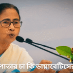 পেয়ারা পাতার চা কি ডায়াবেটিসের ওষুধ?