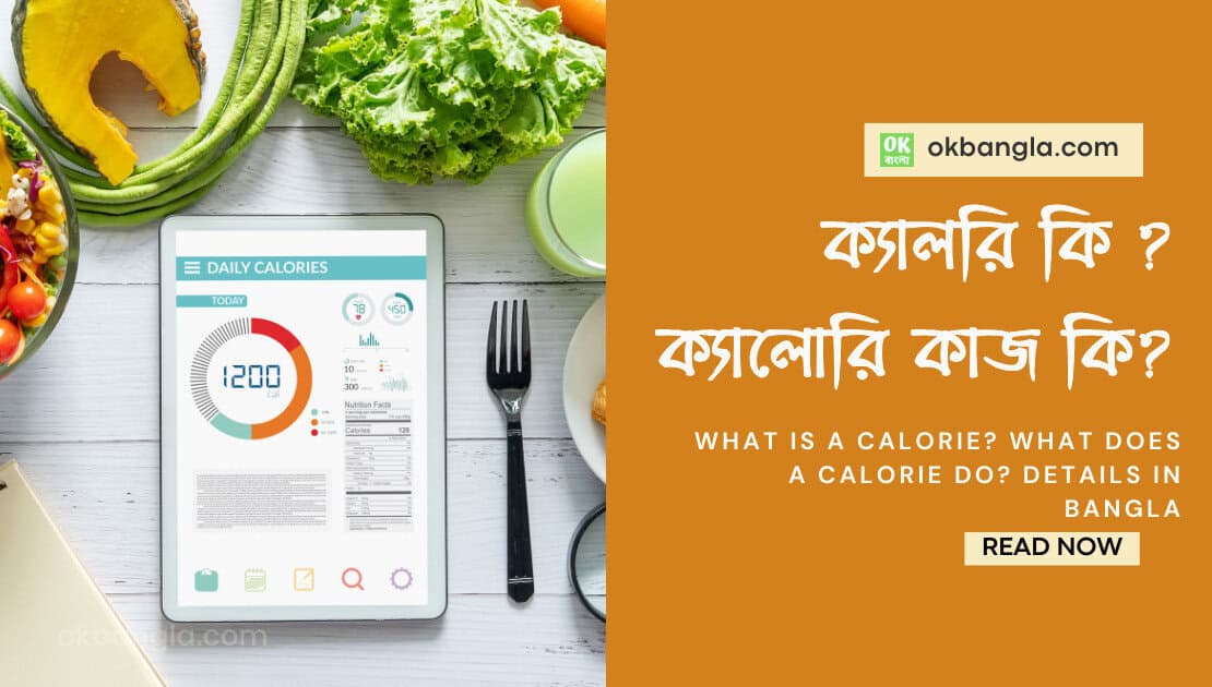 ক্যালরি কি ? ক্যালোরি কাজ কি?