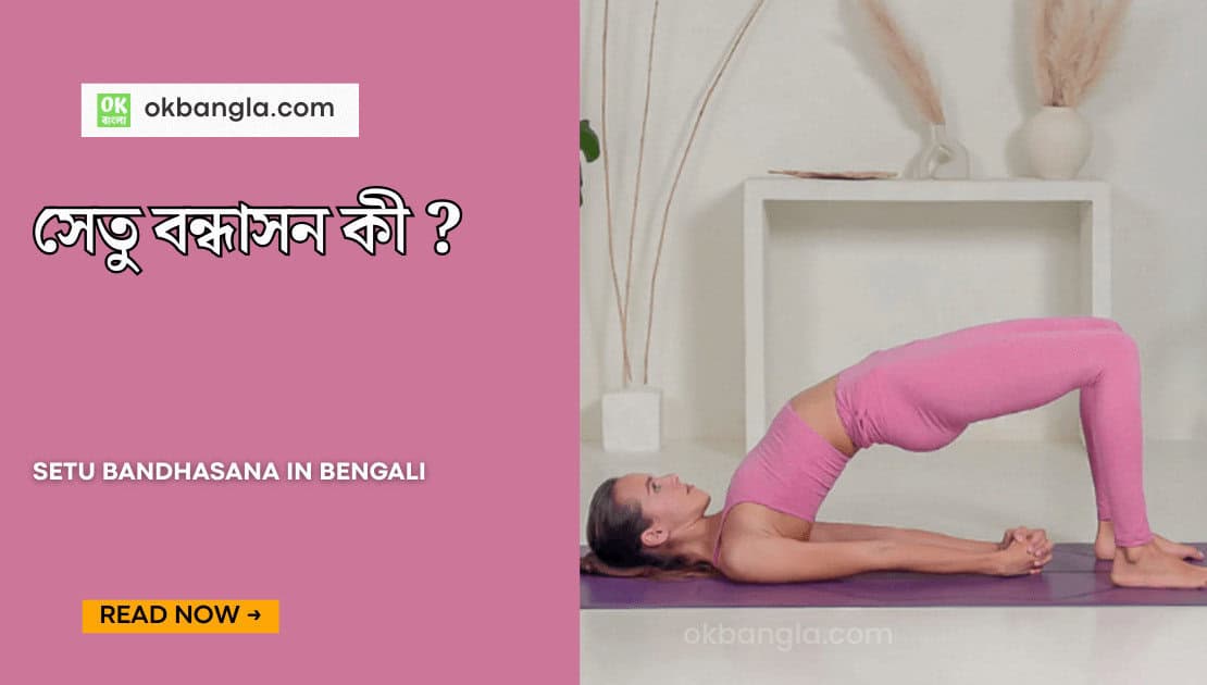 Setu Bandhasana in Bengali