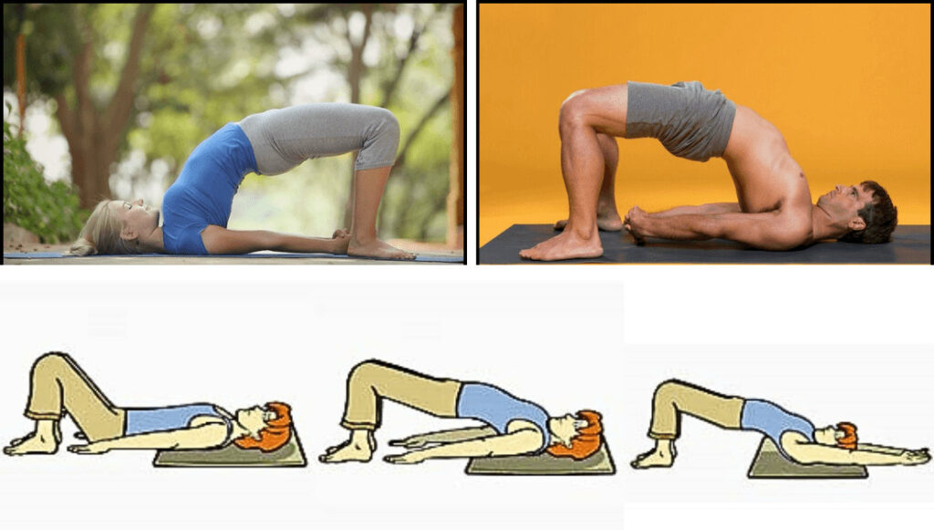 Setu Bandhasana
Picture