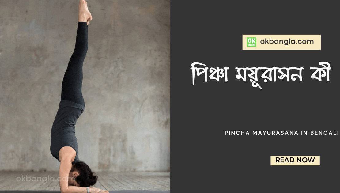 Pincha Mayurasana in Bengali