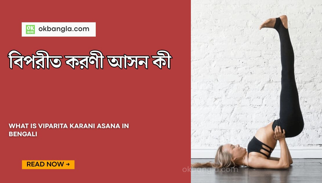 What is Viparita Karani Asana