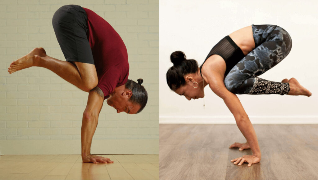 Kakasana Picture