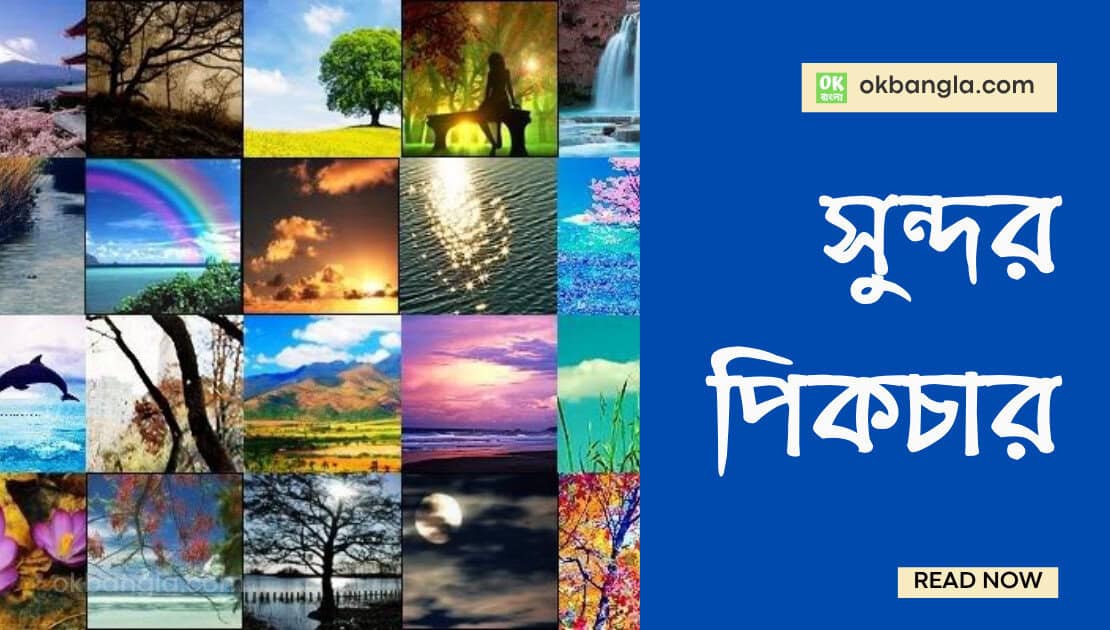 সুন্দর পিকচার