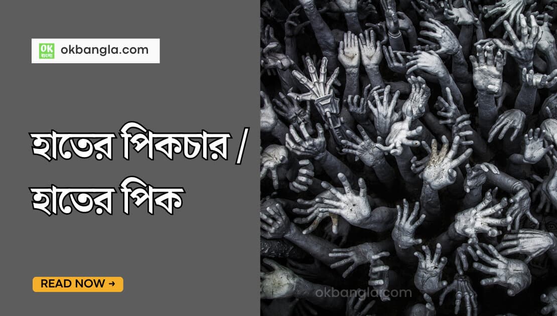 হাতের পিকচার