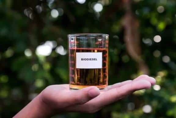বায়োডিজেলের ভবিষ্যৎ